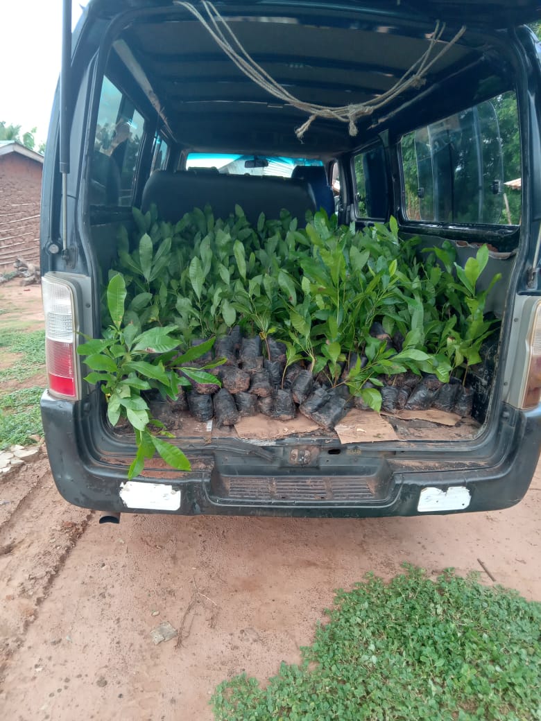 2024_03_qwesi_beginnt_als_farmer_002.jpeg
Size: 139.06 KB
Created: 2025-09-05 15:25:51
Edited: 2024-03-24 09:56:54
Mime Type: image/jpeg 2024_03_qwesi_beginnt_als_farmer_002.jpeg
Size: 139.06 KB
Created: 2025-09-05 15:25:51
Edited: 2024-03-24 09:56:54
Mime Type: image/jpeg